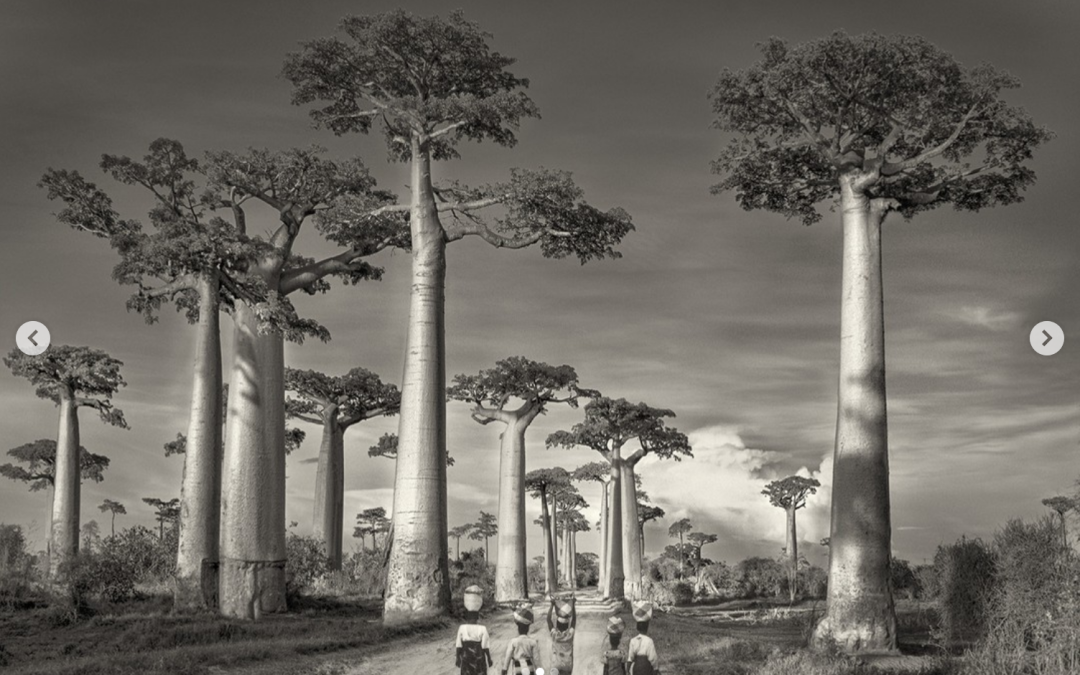 Mesiac foto­gra­fie — Beth Moon