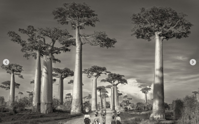 Mesiac foto­gra­fie — Beth Moon